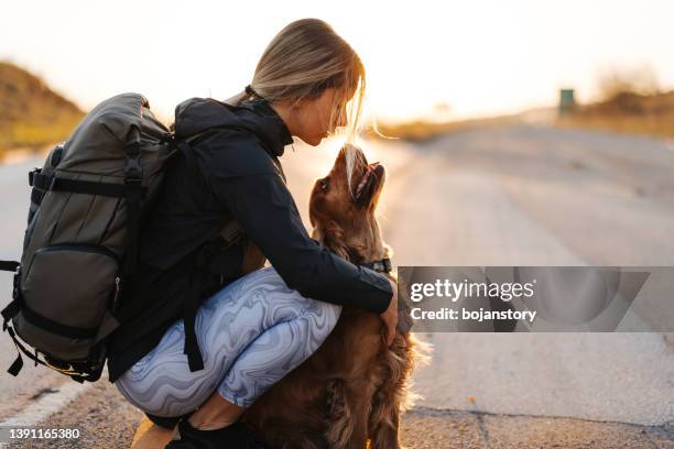 dogs making world a better place - travel loyalty stock pictures, royalty-free photos & images