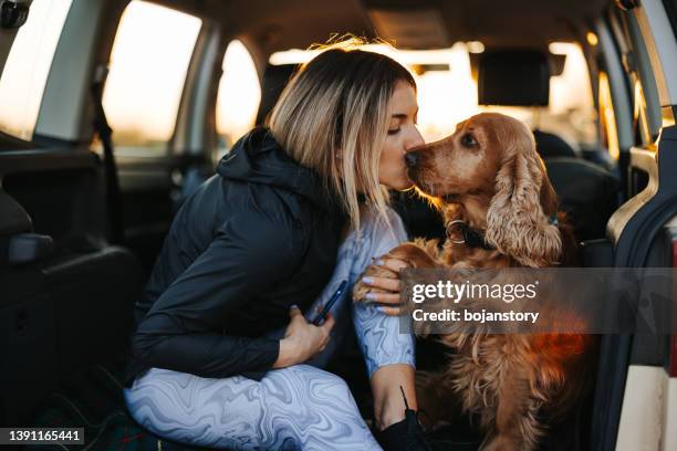 merci pour tout votre amour et votre loyauté - cocker spaniel photos et images de collection