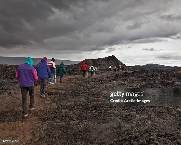 people hiking in lava fields - see mývatn stock-fotos und bilder