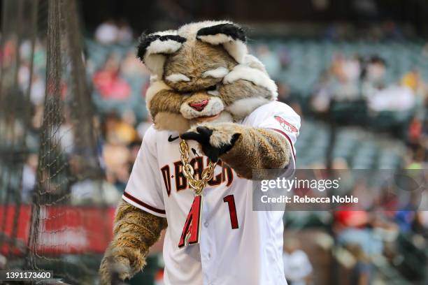 Baxter the Bobcat of the Arizona Diamondbacks gestures during their MLB game against the San Diego Padres at Chase Field on April 09, 2022 in...