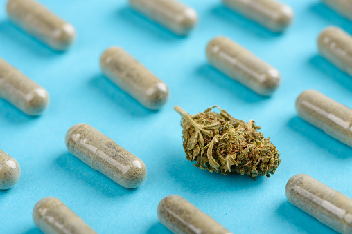 CBD cannabis bud among green capsules pattern