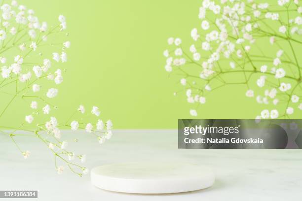 marble coaster on light green background. minimalistic product display. springtime aesthetic. copy space - stand 3d stock pictures, royalty-free photos & images