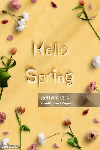 hello spring text in paper cut with ranunculus in a frame.orange background - table font view stock pictures, royalty-free photos & images