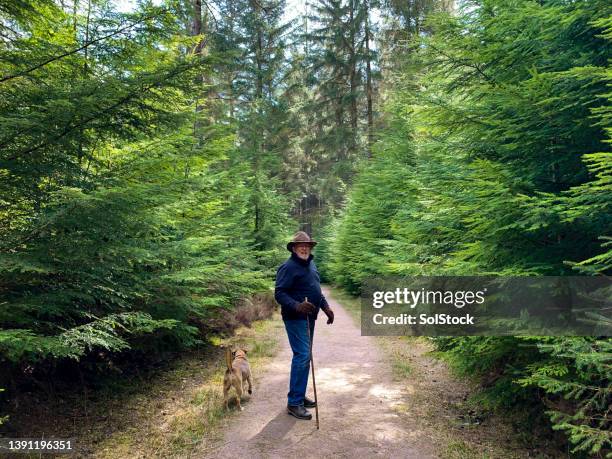 hiking in the springtime - april month stock pictures, royalty-free photos & images