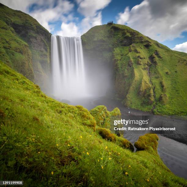 skogafoss waterfall in iceland on a summer's day with a blue sky above. the skógafoss waterfall is one of iceland’s hot spots and populair amongst tourist traveling in south central iceland. - dettifoss waterfall foto e immagini stock
