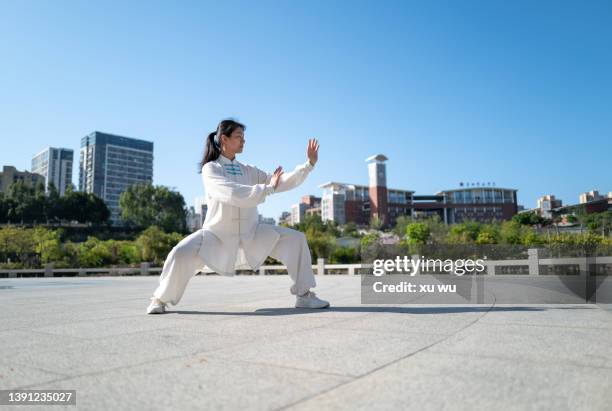 fitness exercise tai chi in the park - カンフー ストックフォトと画像