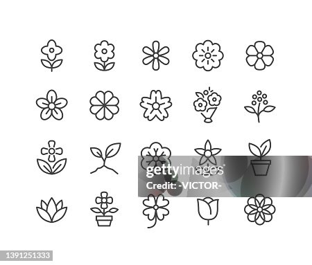 Flower Icons - Classic Line Serie Flower Icons - Classic Line Serie
