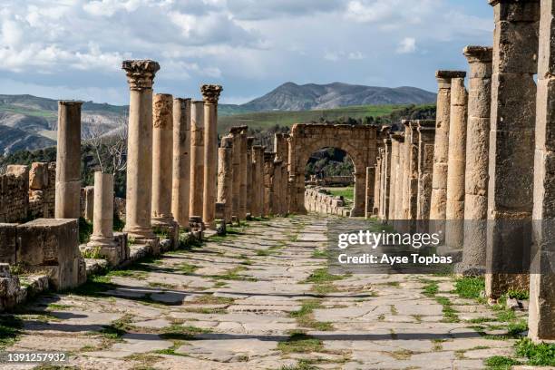 the roman ruins of djemila, unesco world heritage site, algeria, - algeria stock pictures, royalty-free photos & images