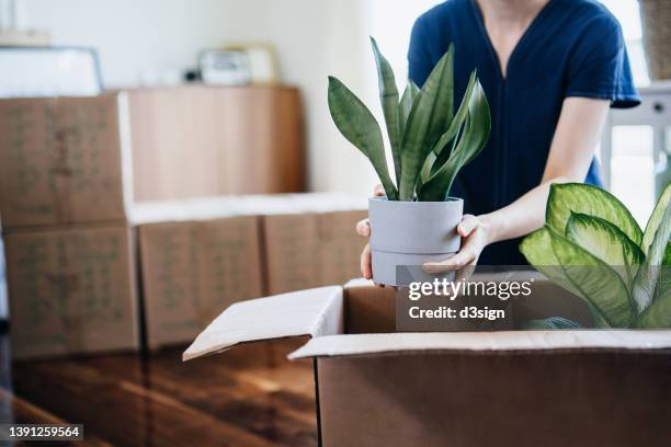 cropped shot of young asian woman moving into a new apartment. packing/unpacking potted plants and belongings into cardboard boxes in the living room. home moving, migration, relocation concept - real estate sign fotografías e imágenes de stock