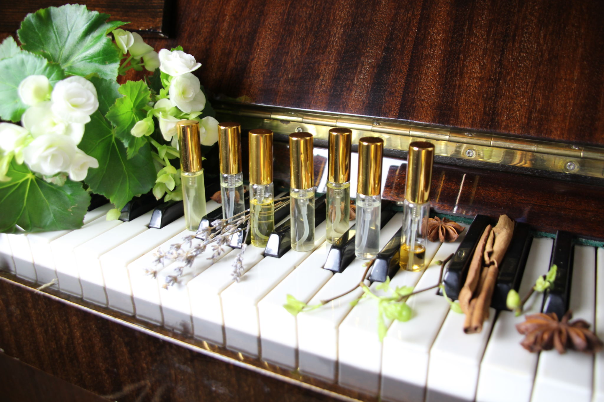 fragrance notes