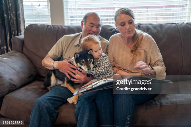 grandmother and grandfather reading to two year old granddaughter sitting on a couch in a modern living room with a shiba inu pet dog - 50 year old japanese woman bildbanksfoton och bilder