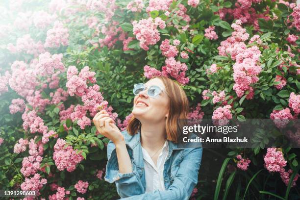 happy smiling woman sitting among blossoming pink rose bushes in summer, vibrant lifestyle outdoors portrait - white rose garden stock pictures, royalty-free photos & images