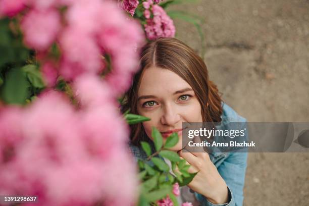 happy smiling woman sitting among blossoming pink rose bushes in summer, vibrant lifestyle outdoors portrait - white rose garden stock pictures, royalty-free photos & images