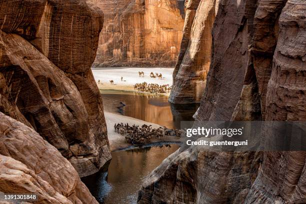 view into the legendary guelta d’archeï, ennedi massif, sahara, chad - rock formation light stock pictures, royalty-free photos & images