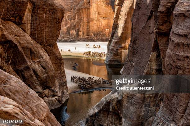view into the legendary guelta d’archeï, ennedi massif, sahara, chad - montanhas ennedi imagens e fotografias de stock