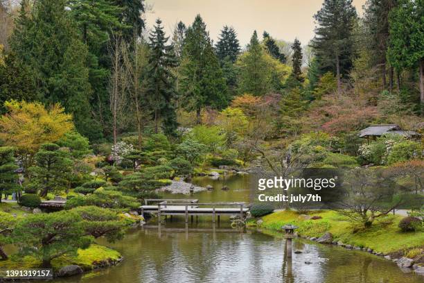 springtime at the japanese garden - seattle in the spring stock pictures, royalty-free photos & images