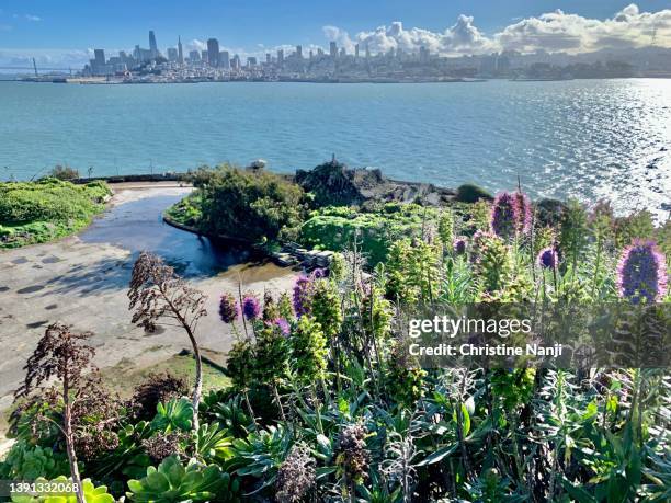 alcatraz - escape from alcatraz stock pictures, royalty-free photos & images