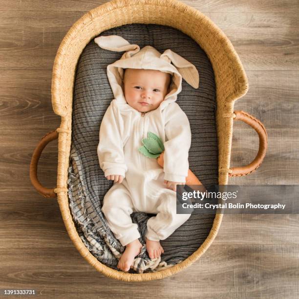 a 16-week-old snuggle bunny baby boy wearing a white bunny outfit while laying in a cozy seagrass moses basket with his carrot - baby bunny stock pictures, royalty-free photos & images