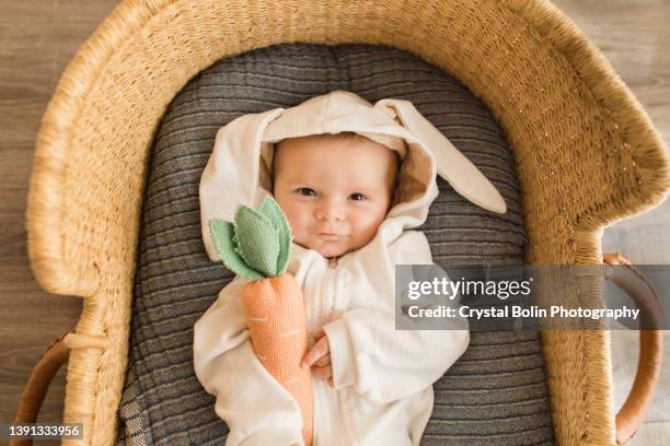 ein 16 wochen alter kuschelhasen-junge in einem weißen hasenoutfit, während er mit seiner karotte in einem gemütlichen seegras-moses-korb schläft - tierkostüm stock-fotos und bilder