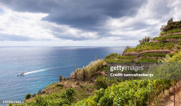 the trail from vernazza to monterosso al mare - liguria stockfoto's en -beelden