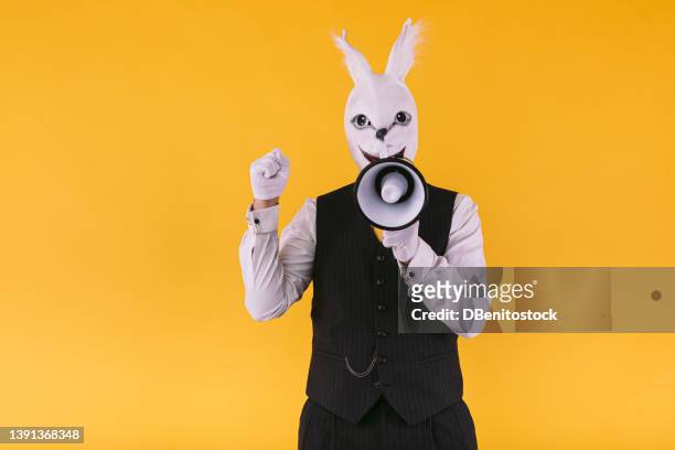 disguised person in rabbit mask with suit jacket, vest and tie, shouting through a megaphone, on yellow background. carnival, party, easter and celebration concept. - easter bunny suit stock pictures, royalty-free photos & images