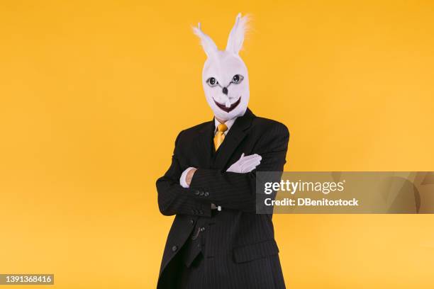 disguised person in rabbit mask with suit jacket, vest and tie, posing with crossed arms, on yellow background. carnival, party, easter and celebration concept. - easter bunny suit stock pictures, royalty-free photos & images