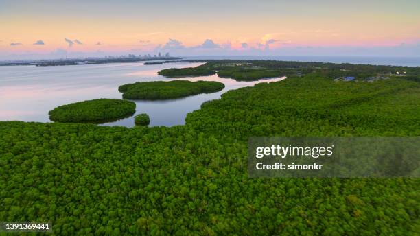 view of key biscayne island - key biscayne bildbanksfoton och bilder