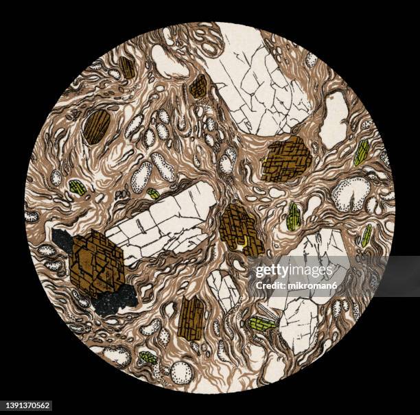 Microscopic Rock Photos and Premium High Res Pictures - Getty Images