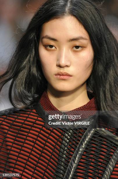 Model walks the runway at the Proenza Schouler Fall 2012 fashion show during Mercedes-Benz Fashion Week on February 15, 2012 in New York City.