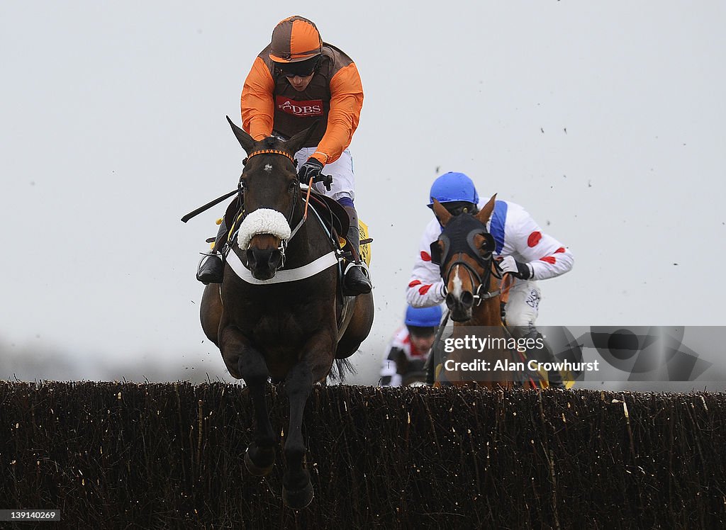 Newbury Races