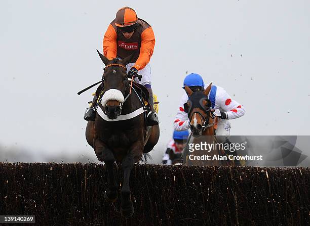 Sam Waley-Cohen riding Long Run clears the last to win The Betfair Denman Steeple Chase at Newbury racecourse on February 17, 2012 in Newbury,...