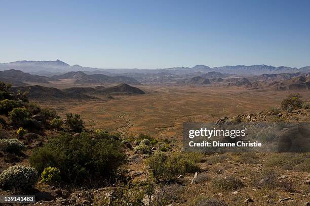 the richtersveld is located in south africa's northern namaqualand, this arid area represents a harsh landscape where water is a great scarcity and only the hardiest of lifeforms survive, northern cape province - namaqualand stock-fotos und bilder