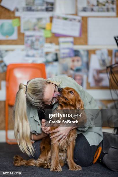 kissing her cocker spaniel - dog kiss stock pictures, royalty-free photos & images