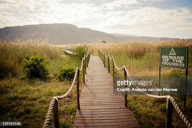 a wooden boardwalk leads across water of a lake towards a viewpoint overlooking a beautiful nature scene with a backdrop of lebombo mountain range, mkuze, kwazulu natal province, south africa - maputaland stock-fotos und bilder
