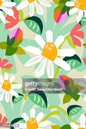 Daisy floral pattern Daisy floral pattern
