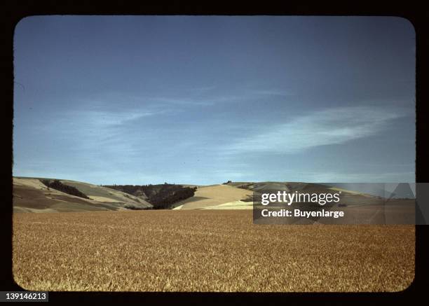 Wheat land, Walla Walla, Washington, 1941.