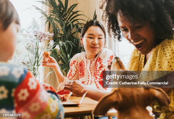 a woman looks amused as a friend gives in and gives a mischievous dog a little bit of pizza from the table - eating indulgence stock pictures, royalty-free photos & images