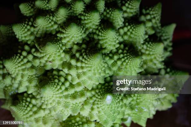 roman cabbage close-up - chou romanesco stock pictures, royalty-free photos & images