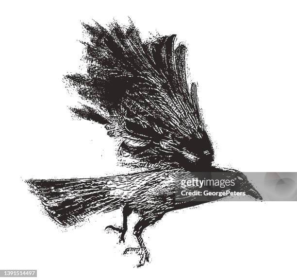stockillustraties, clipart, cartoons en iconen met gothic style crow flying - strong grain