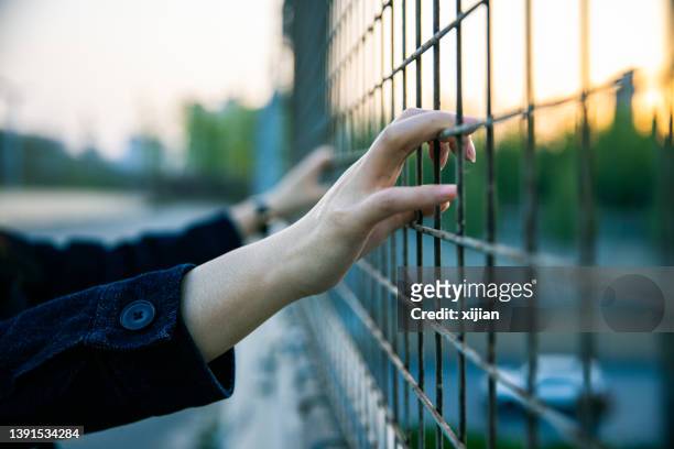 die hand der frau, die den zaun hält - women in prison stock-fotos und bilder