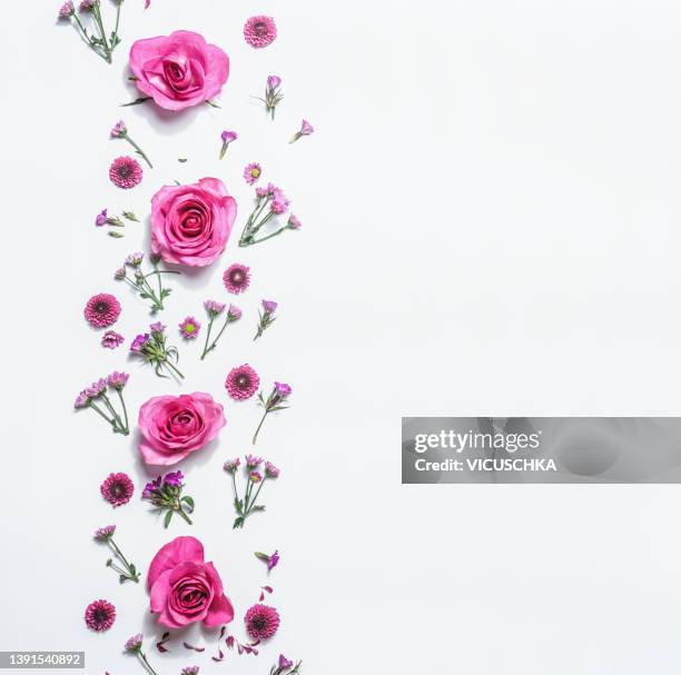 floral border with various pink flowers in line at white background - line frame border stock pictures, royalty-free photos & images