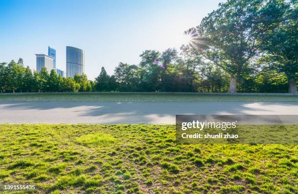 road in the park - street clear sky stock pictures, royalty-free photos & images