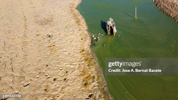 aerial view of riverbed with little water due to drought. - mud riverbed stock pictures, royalty-free photos & images