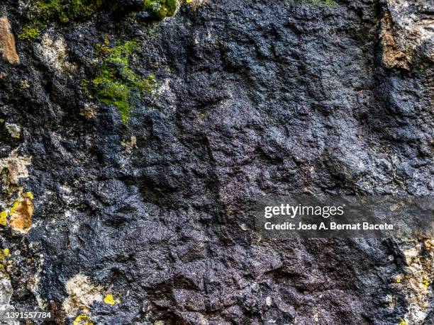 textures of a wet rock with spots of moss in nature. - damp wall stock pictures, royalty-free photos & images