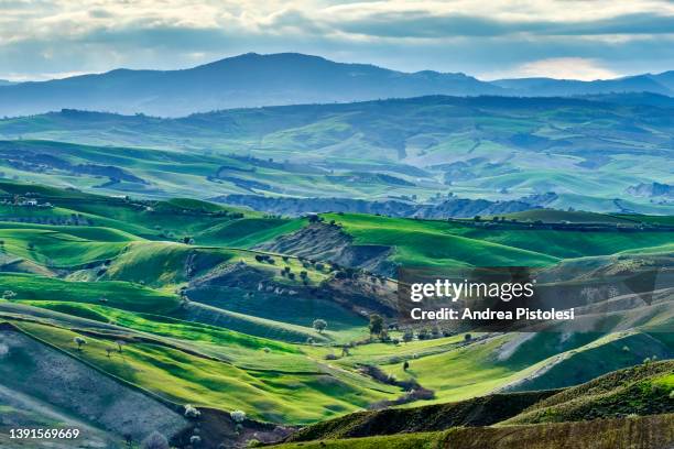 basilicata countryside in spring, italy - basilicata region stock pictures, royalty-free photos & images