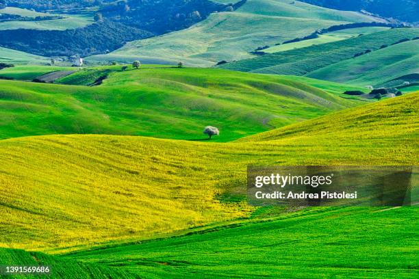 basilicata countryside in spring, italy - basilikata stock-fotos und bilder