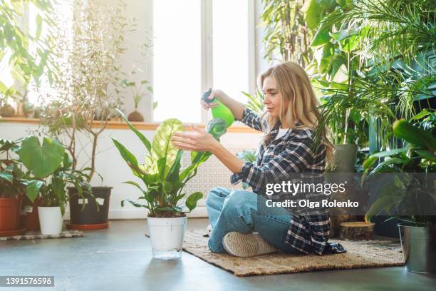 attractive and smiling young blond busy businesswoman, owner of flower shop. spraying water and fertilizing herbs in pots - arroser photos et images de collection