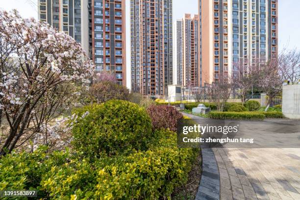 residential area - 遼寧省 ストックフォトと画像