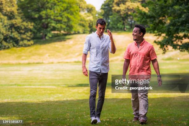 male friendship - greenwich park stockfoto's en -beelden