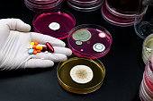 Plates with microorganisms and medicament capsules